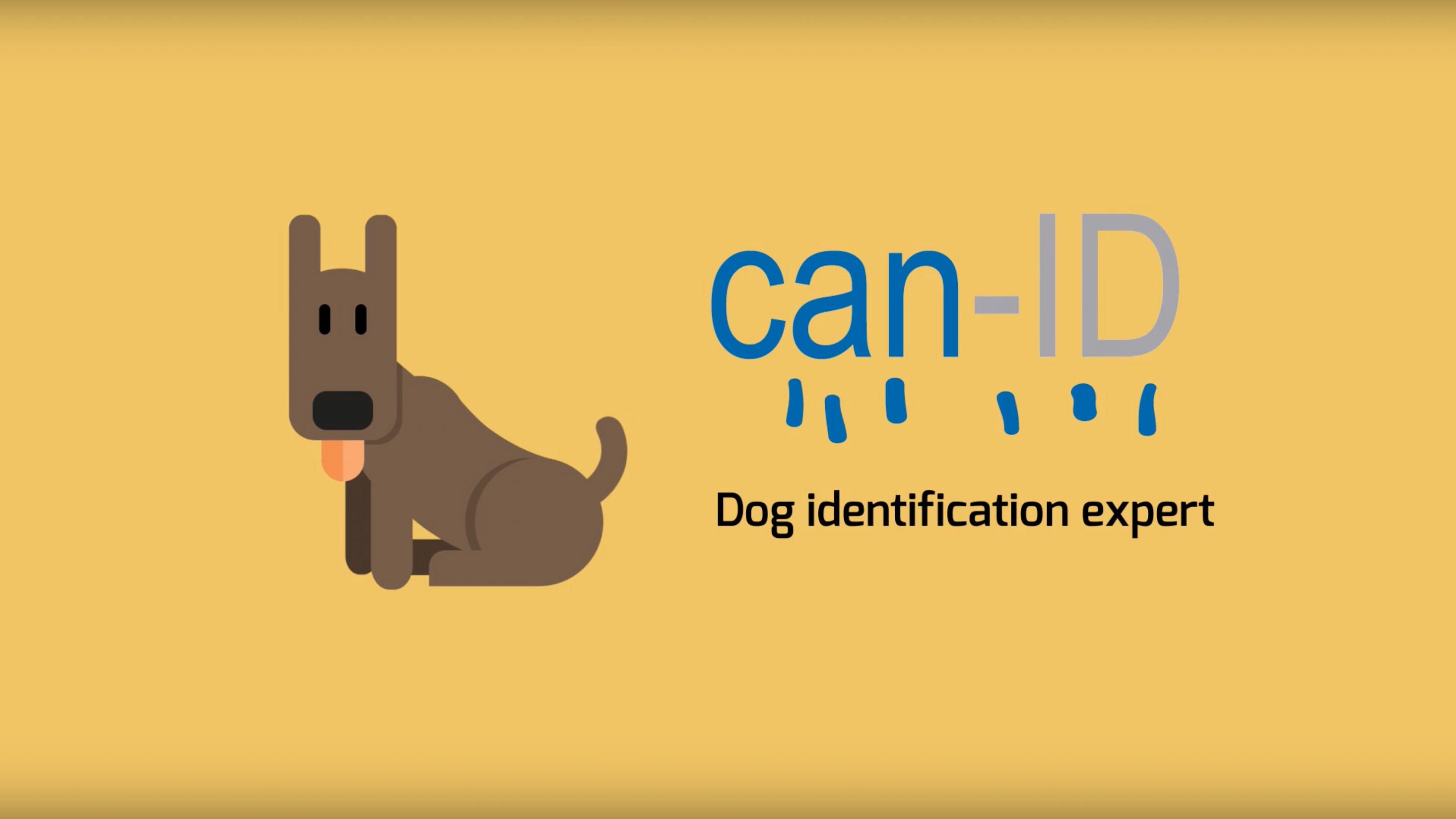 Video cover we made for Can-Id to leverage all the advantages of video marketing